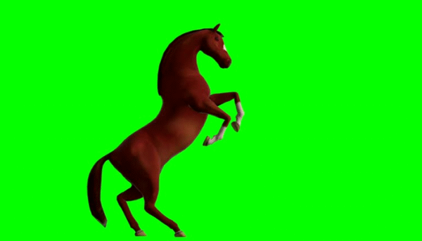 Horse Screen: Everything You Need to Know